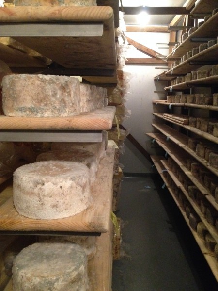 Cheese Room Lively Run Dairy