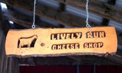 Welcome to Lively Run Dairy
