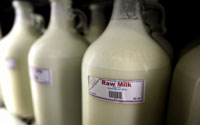 Raw Milk Advantages