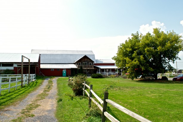 Lively Run Dairy Farm