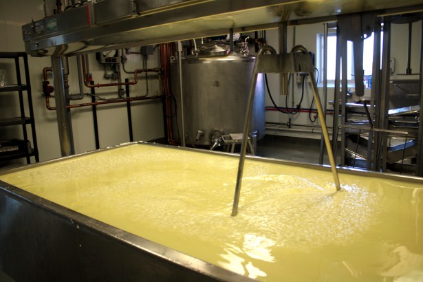 Cheese Making Room Lively Run