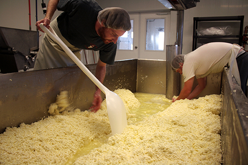 Meet Our New Head Cheesemaker: Pete Messmer - Lively Run Goat Dairy