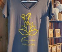 Yoga Shirt grey- Medium only
